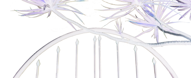 Dream Gate by Benjamin Whitehurst