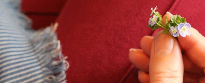 Giving and Receiving, Gifts and Presents