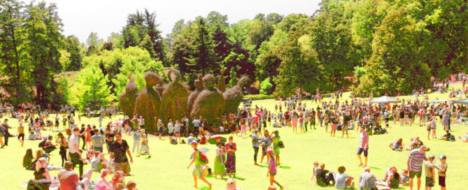 Bliss Boogie Pittsboro NC