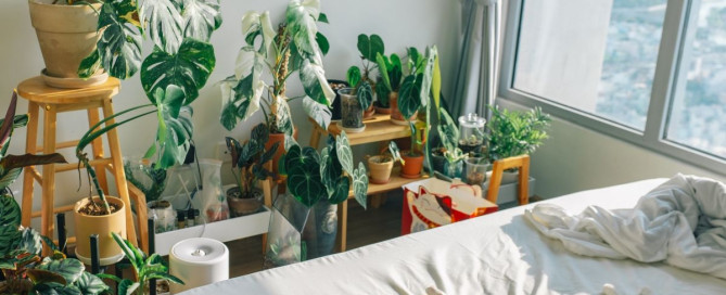 Alchemical Dream Guild